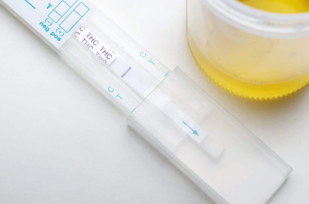 Immunoassay drug testing