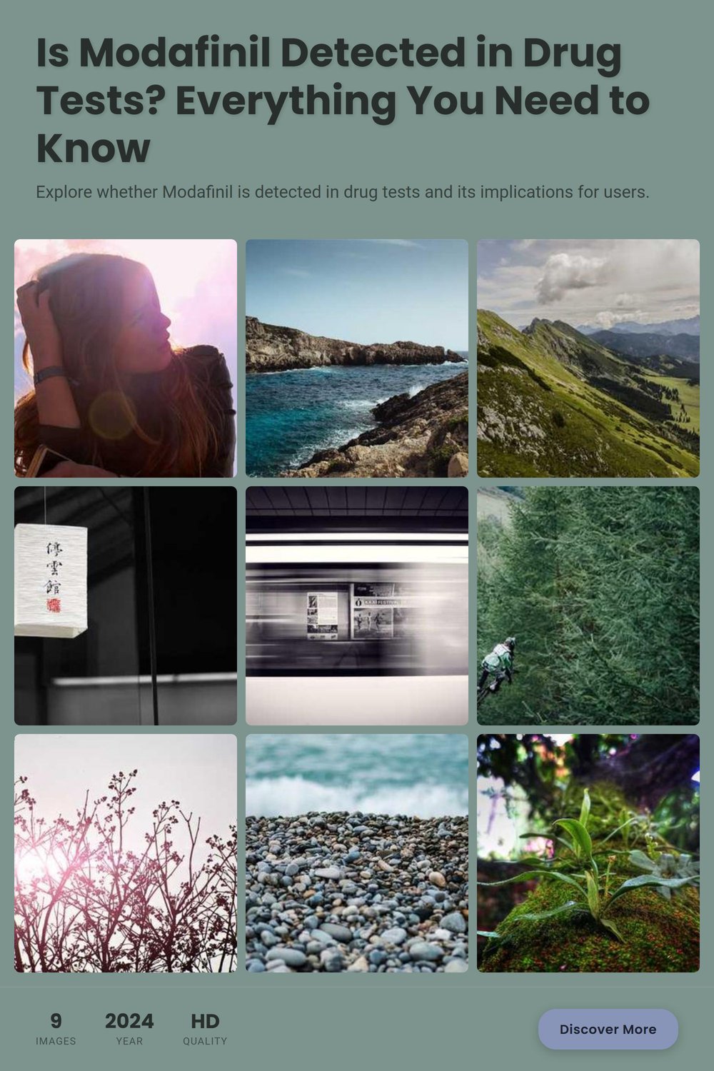 Collage for Is Modafinil Detected in Drug Tests? Everything You Need to Know