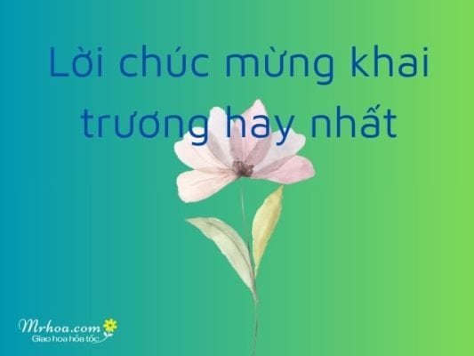 Best Grand Opening Wishes