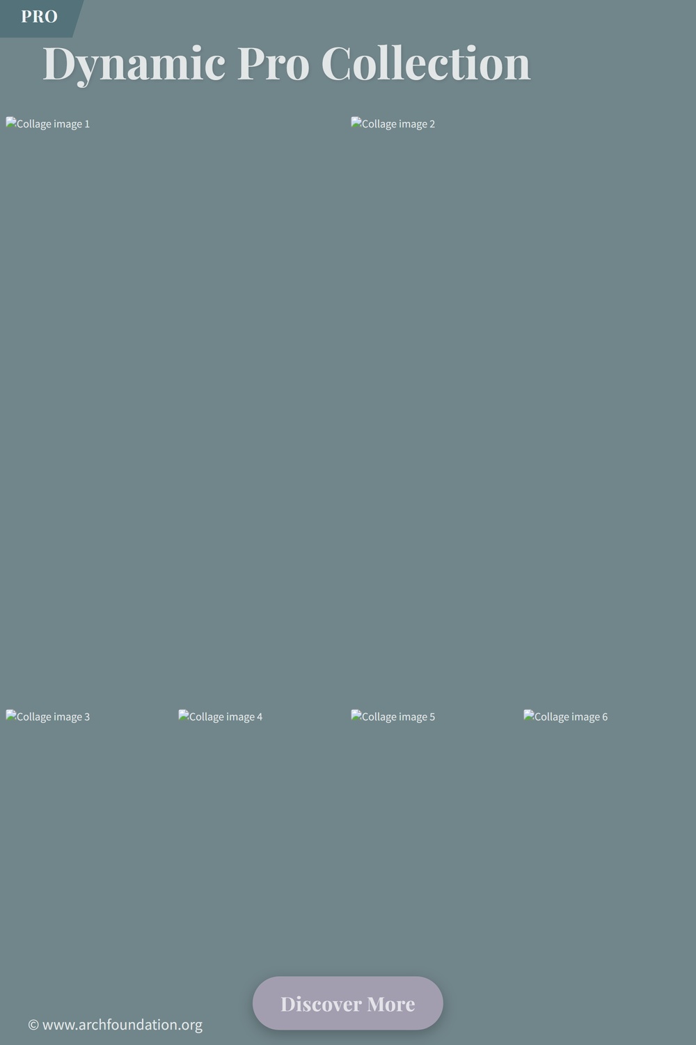 Explore MrHoa's Floral Magic