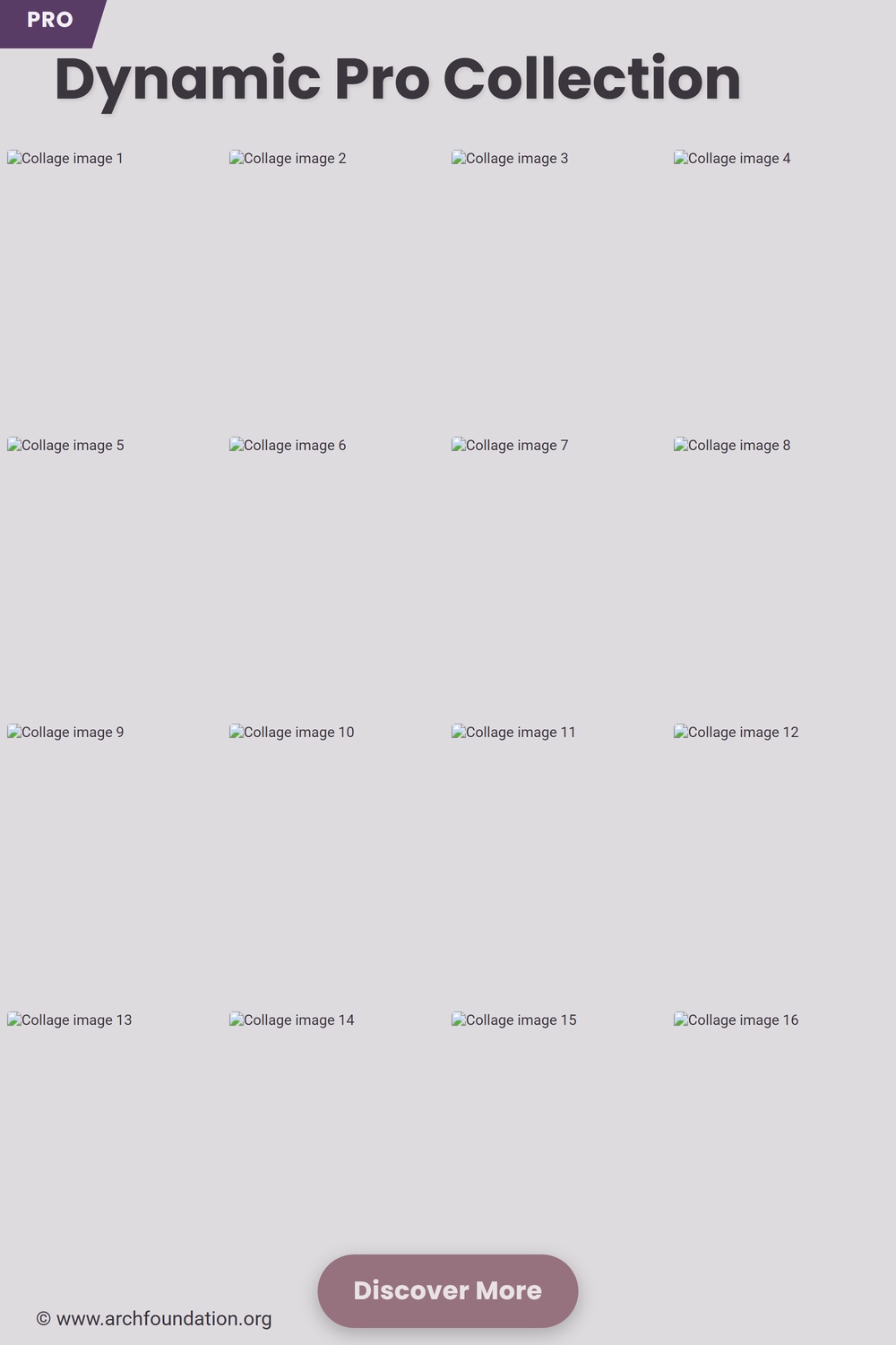 Elegant Longevity Flowers