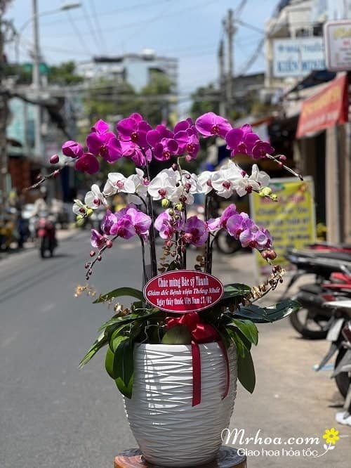 Nine-Stalk Orchid Pot