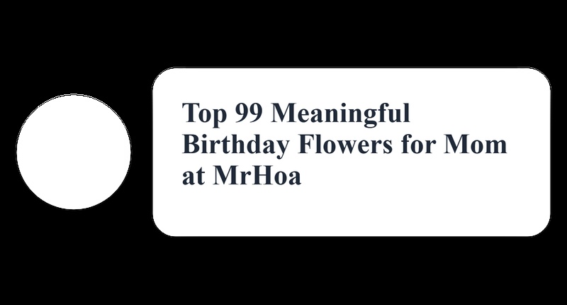 Stunning Birthday Blooms!