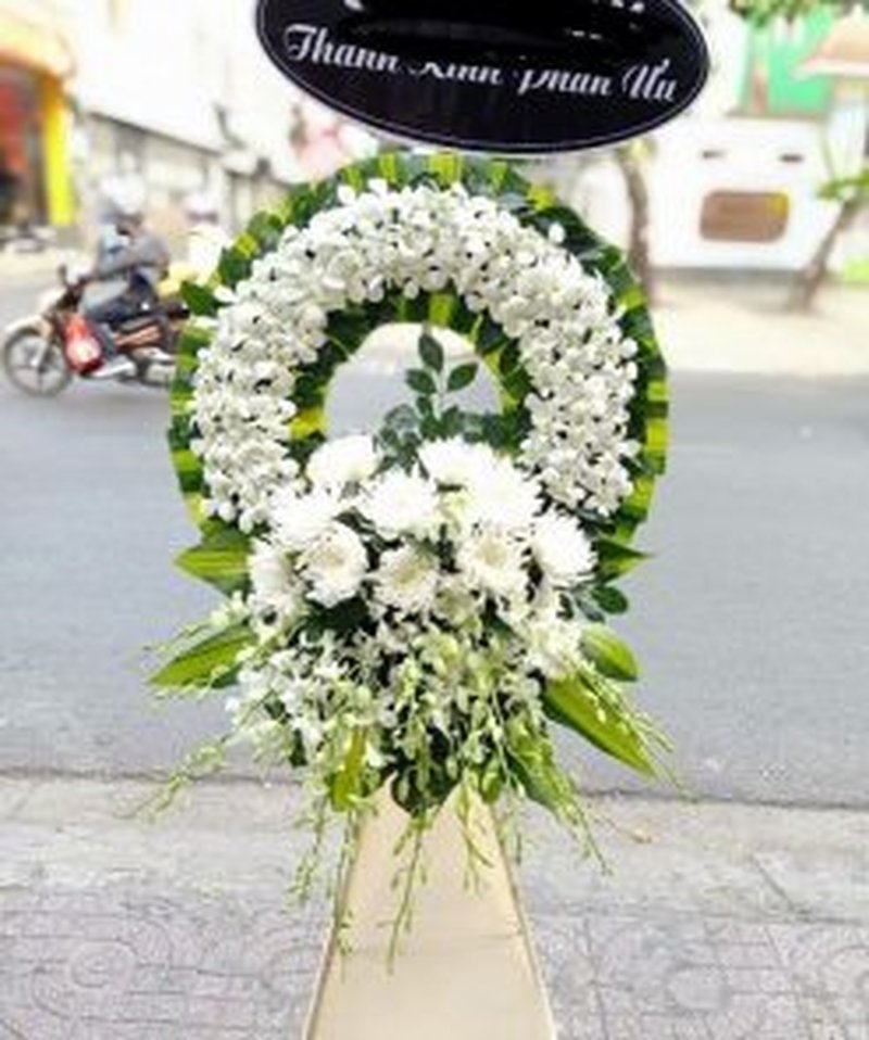 Hoa cúc trắng đi đám tang