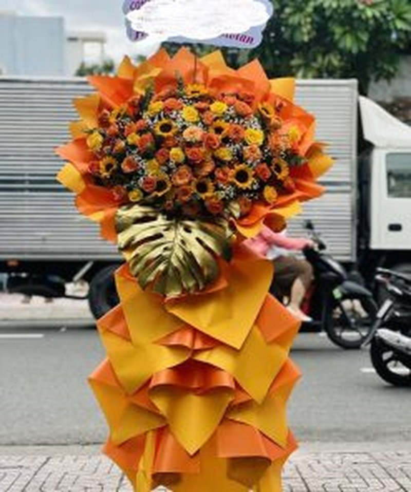 Tỏa sáng thành công